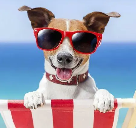 El Amanecer De Lejlighed *