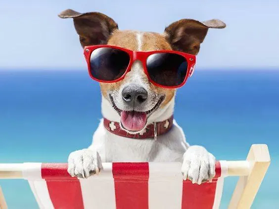 El Amanecer De Apartment *